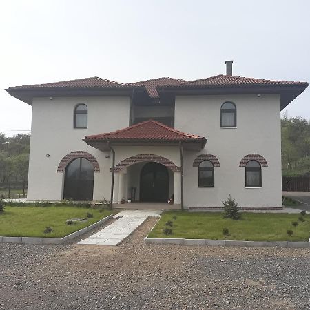 Pensiunea Casa Ungur Cetea ภายนอก รูปภาพ