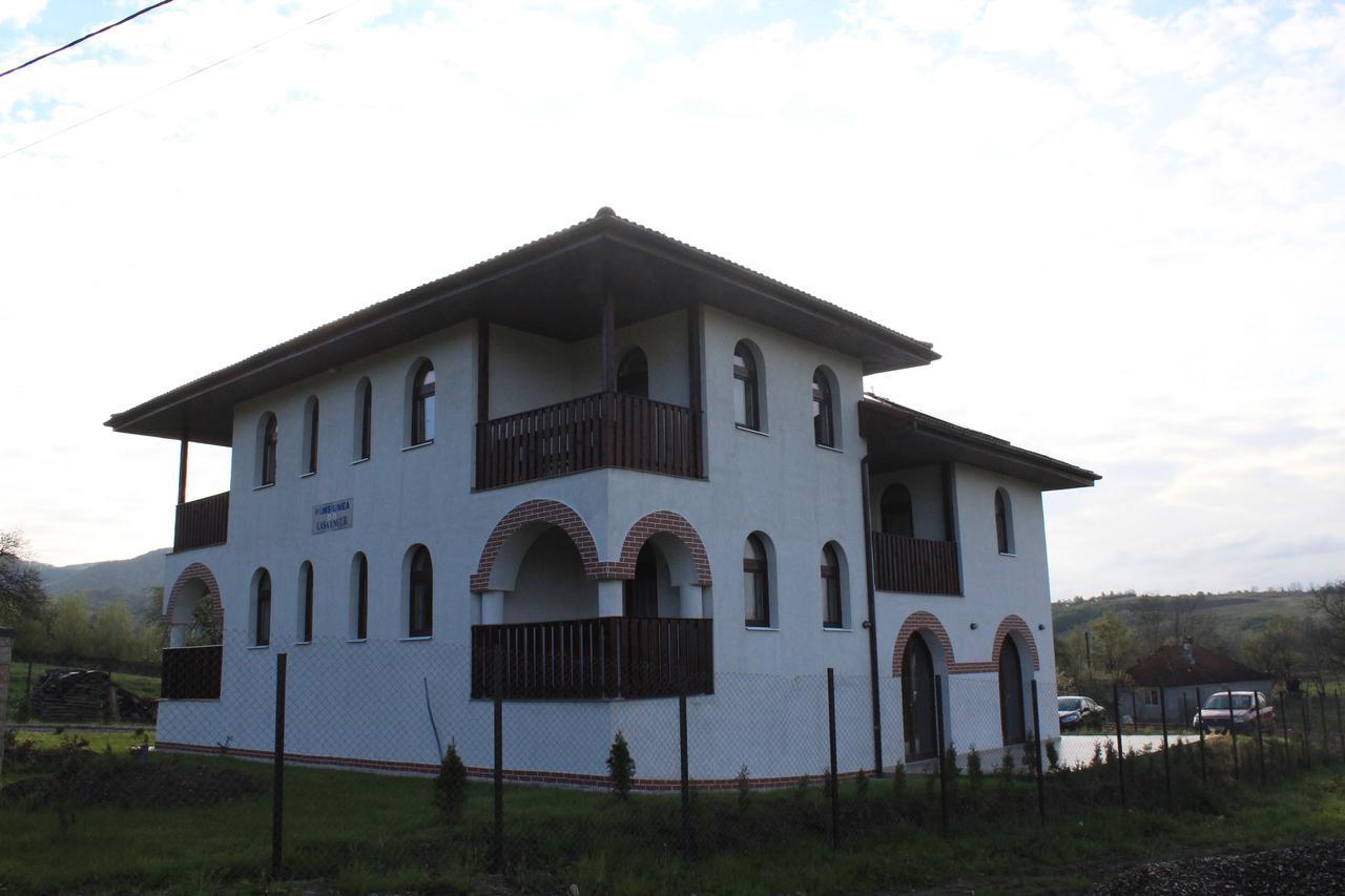 Pensiunea Casa Ungur Cetea ภายนอก รูปภาพ