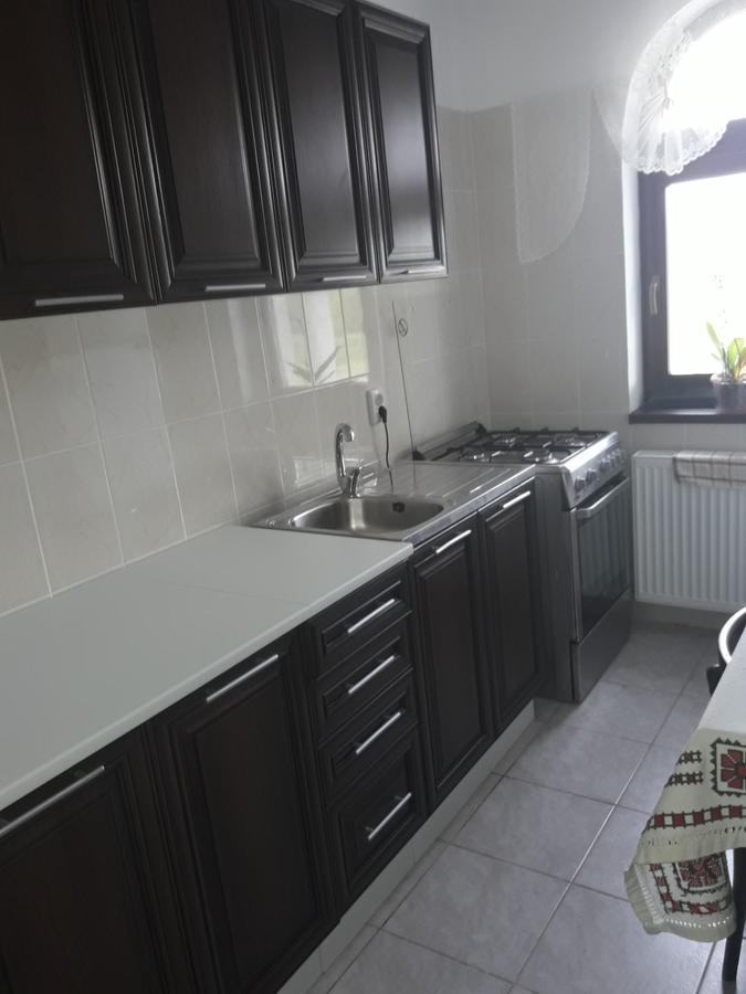 Pensiunea Casa Ungur Cetea ภายนอก รูปภาพ