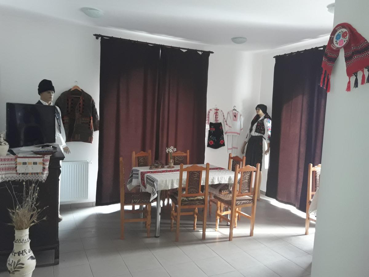 Pensiunea Casa Ungur Cetea ภายนอก รูปภาพ